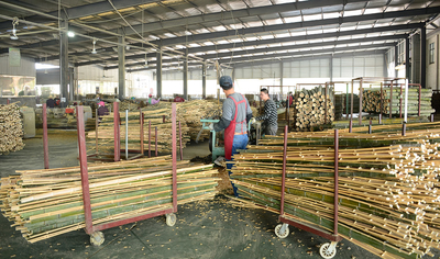 Shenzhen Magic Bamboo Industrial Co., Ltd. производственная линия производителя